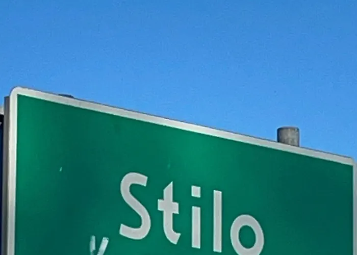 Stilo Sasino